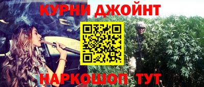 стаф Жуковский