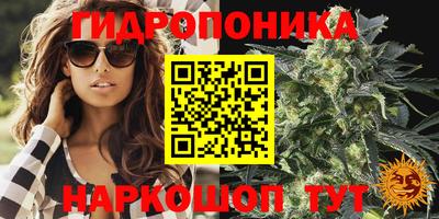 гашиш Заволжье