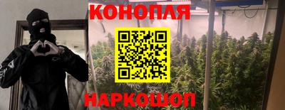 стаф Жуковский