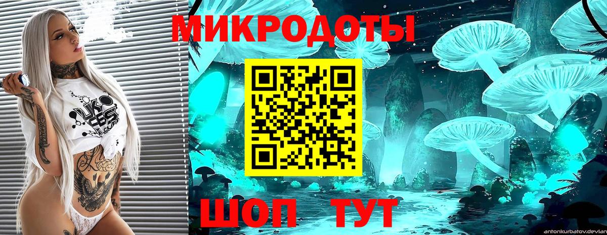 Галлюциногенные грибы мухоморы Михайловск