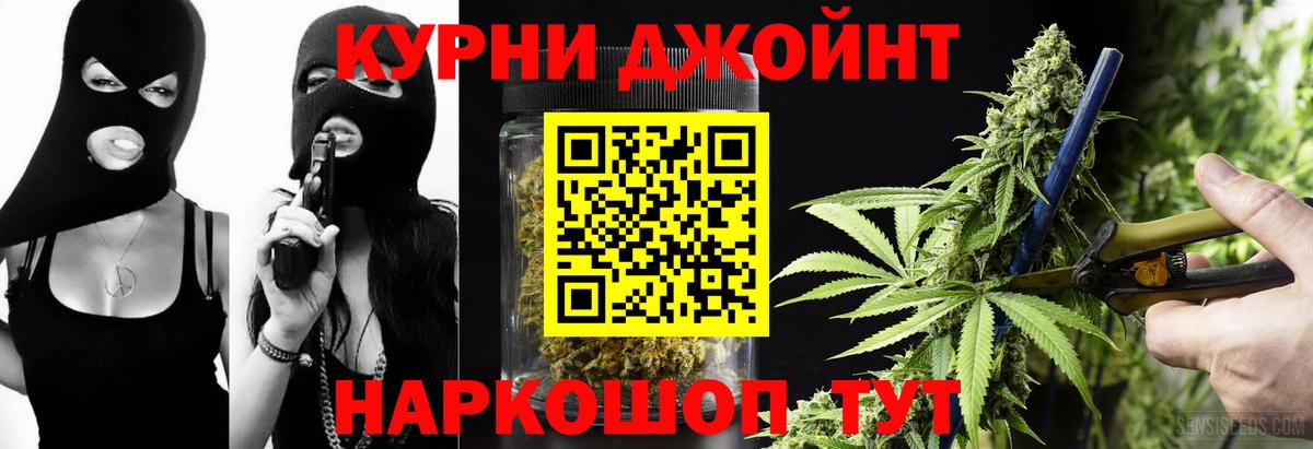Михайловск  Канабис White Widow  Вход с VPN  Шишки марихуана план 